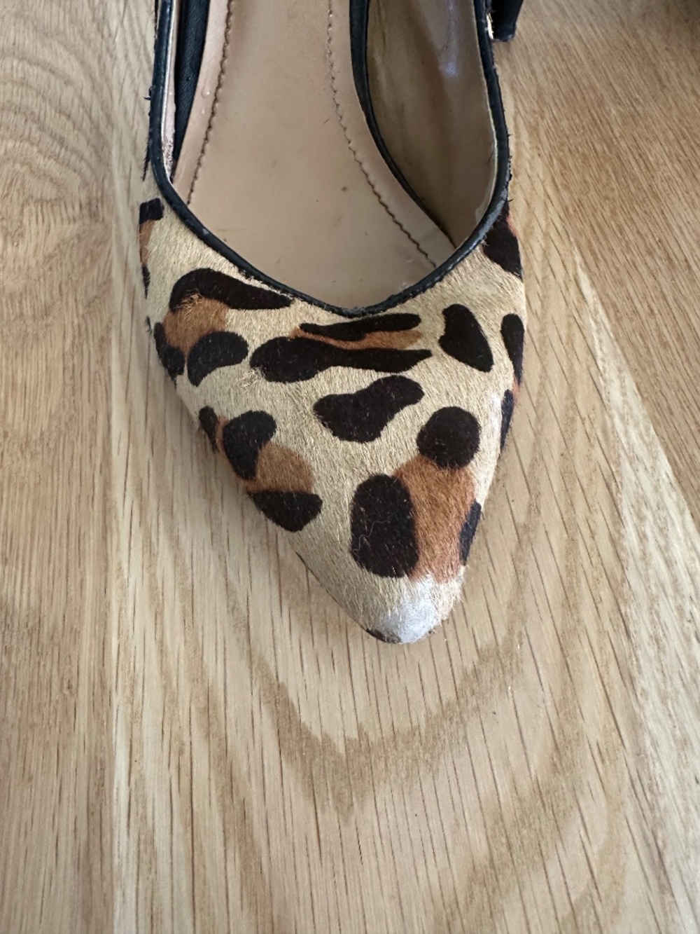 Leopard Heels - Picture 5 of 16